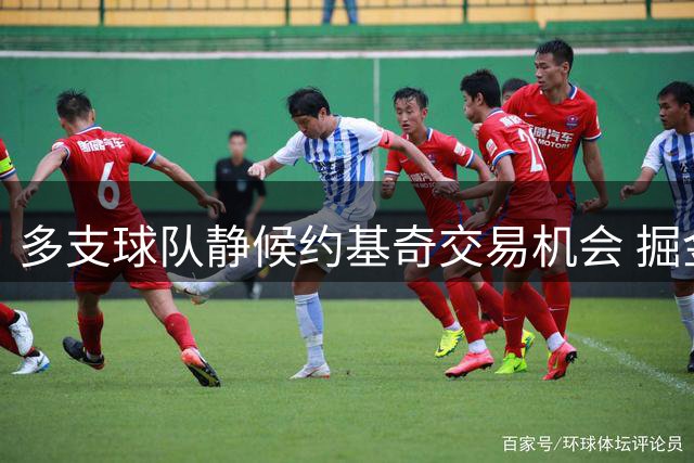 多支球队静候约基奇交易机会 掘金今夏阵容未获提升