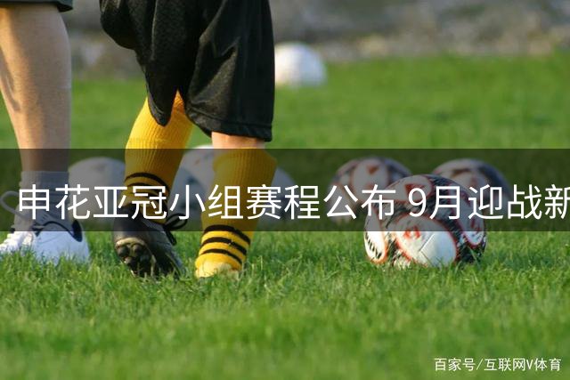 申花亚冠小组赛程公布 9月迎战新加坡对手